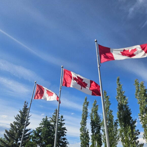 Meet your Posher, Jo - Picture 1 of 1